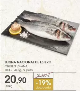 origen - Lubina Nacional De Estero