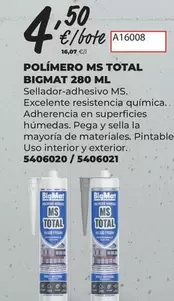 Bigmat - Polimero MS Total