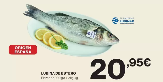 origen - Lubina De Estero