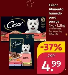 Cesar - Alimento Húmedo Para Perros