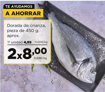 Alimerka - Dorada De Crianza