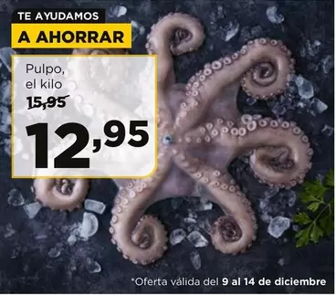 Pulpo