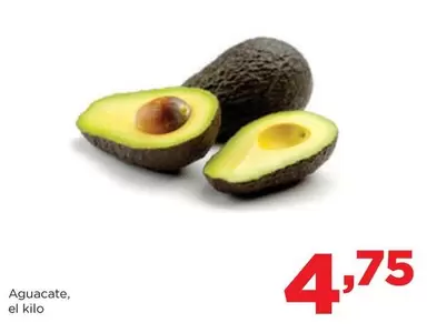Aguacate
