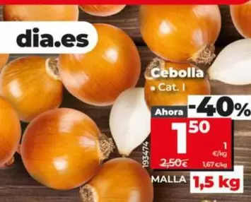 Cebolla