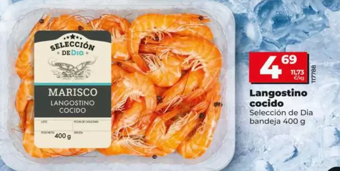 Seleccion De Dia - Langostino Cocido