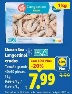 Ocean Sea - Langostinos Crudos