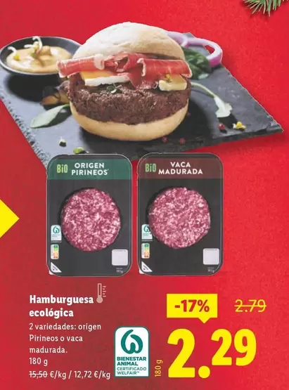 Hamburguesa Ecologica