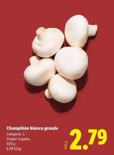Blanco - Champiñón  Grande