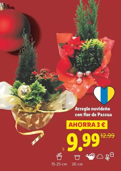 Arreglo Navideño Con Flor De Pascua