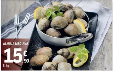 Almeja Mediana