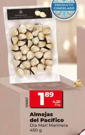 Dia Mari Marinera - Almejas Del Pacífico
