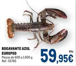 Bogavante Azul Europeo