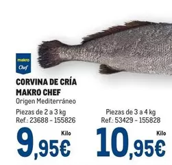 chef select - Corvina De Cría