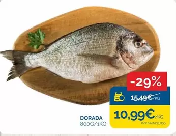 dorada - Dorada