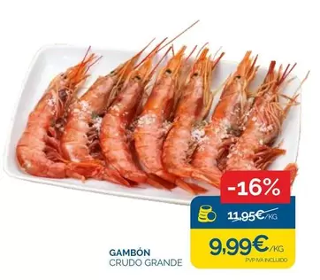 Gambon Crudo Grande