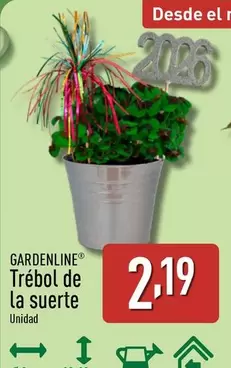 Gardenline - Trébol De La Suerte