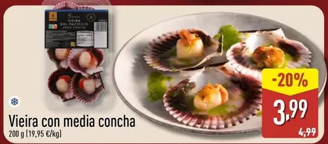 Special - Vieira Con Media Concha