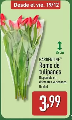 Gardenline - Ramo De Tulipanes