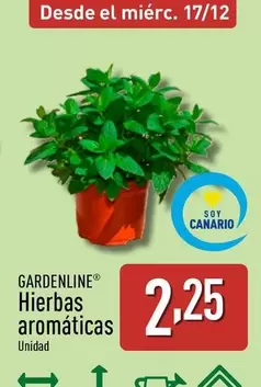 Gardenline - Hierbas Aromáticas
