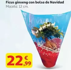 Picus Gmseng Con Bolsa De Navidad