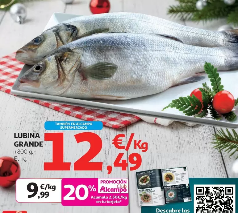 alcampo - Lubina Grande