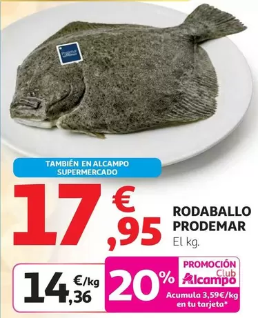 Prodemar - Rodaballo