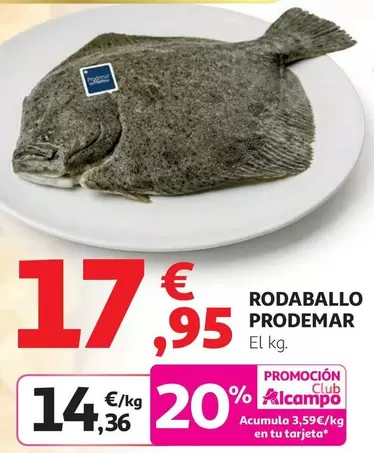Prodemar - Rodaballo