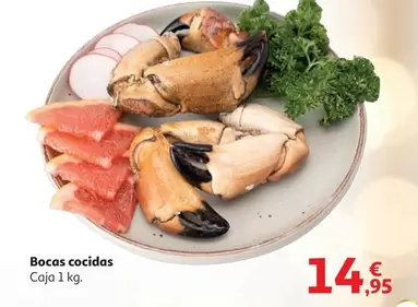 Bocas Cocidas
