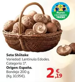 alcampo - Seta Shitake