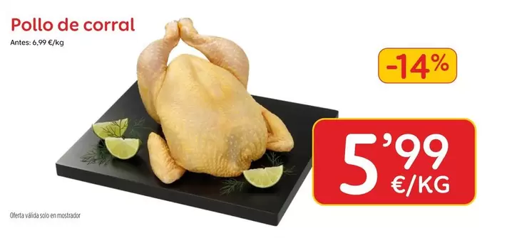 Solo - Pollo De Corral