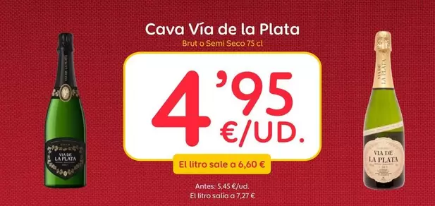 Brut - Cava Via De La Plata