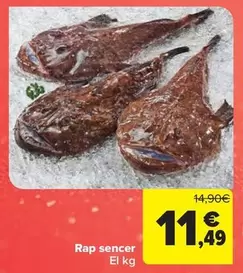 Rap Sencer