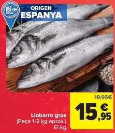 origen - Llobarro Gros