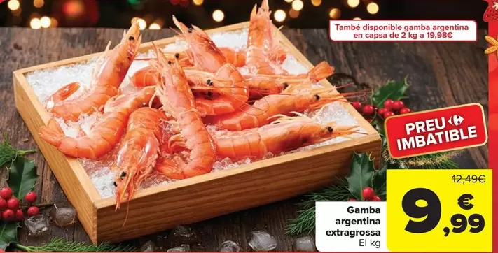 Gamba Argentina Extragrassata