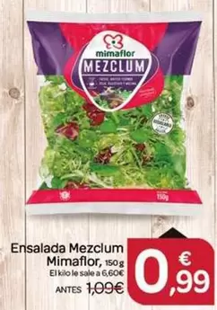 Mimaflor - Ensalada Mezclum