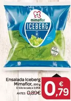 Mimaflor - Ensalada Iceberg