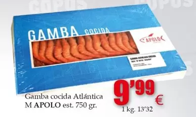 Apolo - Gamba Cocida Atlantica