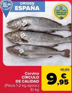 Círculo De Calidad - Corvina 