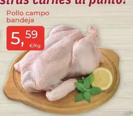 Pollo Campo Bandeja