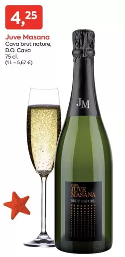 Juvé Masana - Cava Brut Nature