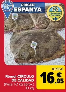 Círculo De Calidad - Rodaballo