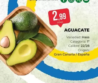 origen - Aguacate