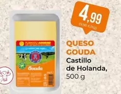 Castillo de Holanda - Queso Gouda
