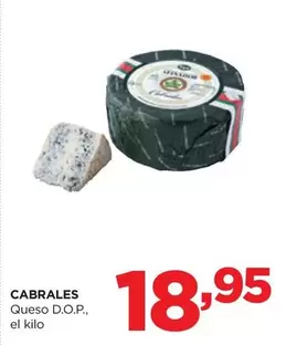 Cabrales - Queso D.O.P.