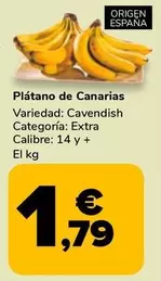 Platano De Canarias
