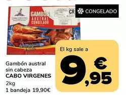 Cabo Virgenes - Gambon Austral Sin Cabeza