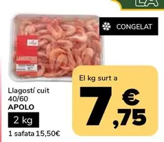 Apolo - Llagostí Cuit