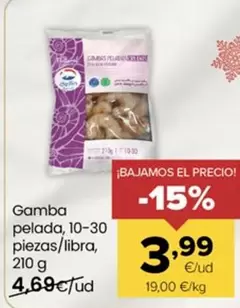 Delfín - Gamba Pelada