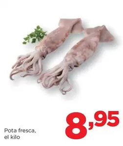 Pota Fresca