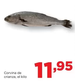 Alimerka - Corvina De Crianza